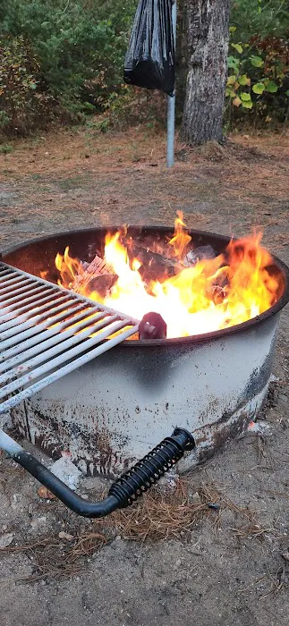 Au Sable Loop Campground and Day Use Area Picture 5
