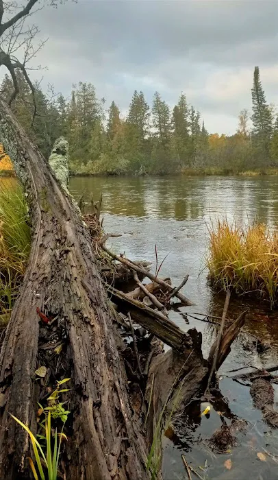 Meadow Springs Campground Picture 2