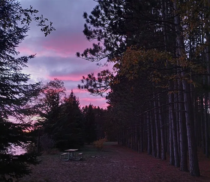 Meadow Springs Campground Picture 1