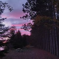 Meadow Springs Campground ico