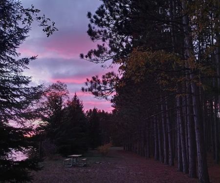 Meadow Springs Campground