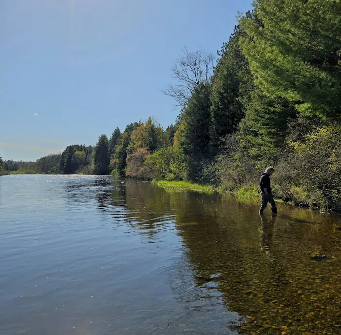 Meadow Springs Campground Picture 8