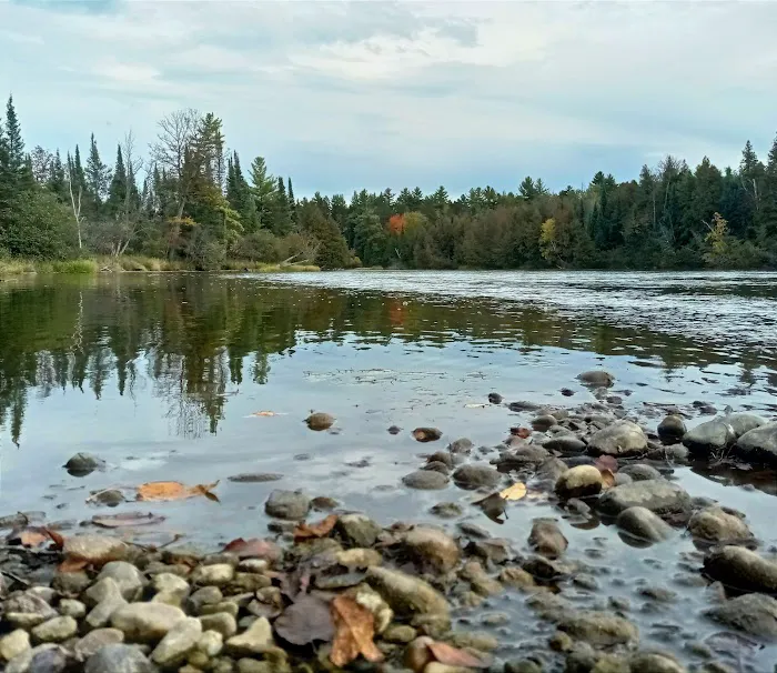 Meadow Springs Campground Picture 4