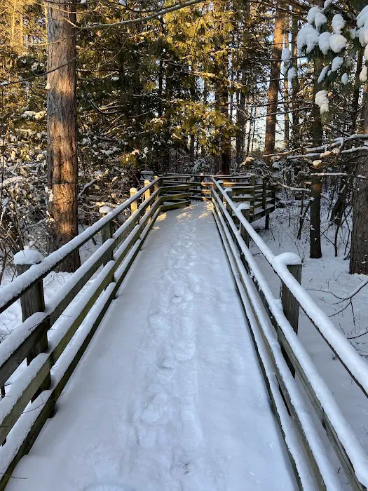 Oscoda County Park Picture 7