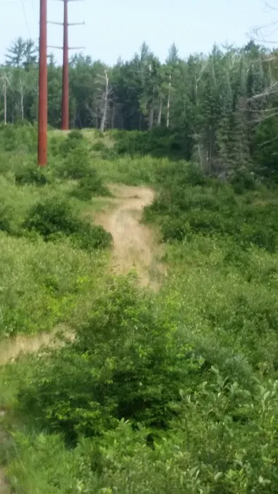 Oscoda County Park Picture 8