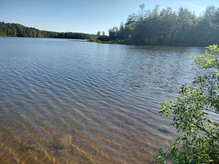 Mio Pond State Forest Campground circle camp Picture 2