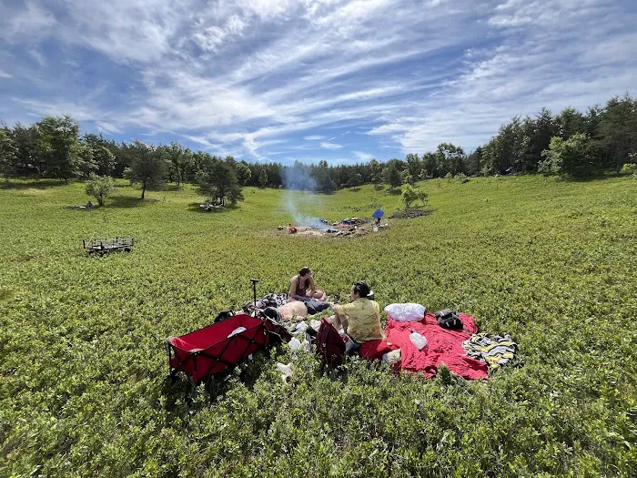 Mio Pond State Forest Campground circle camp Picture 5