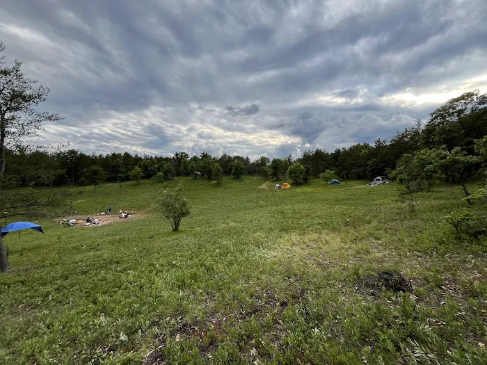 Mio Pond State Forest Campground circle camp Picture 4