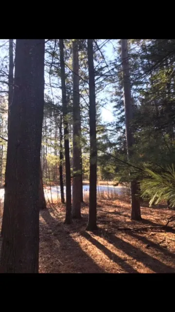 Lakewood Campground Picture 1