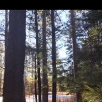 Lakewood Campground ico