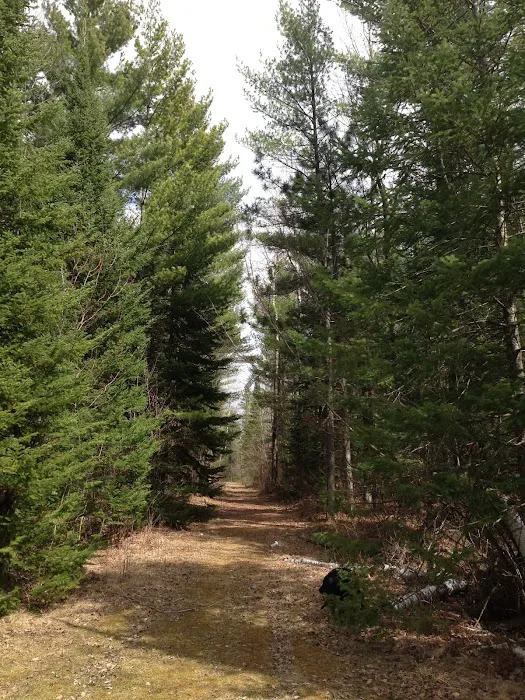 Lakewood Campground Picture 3