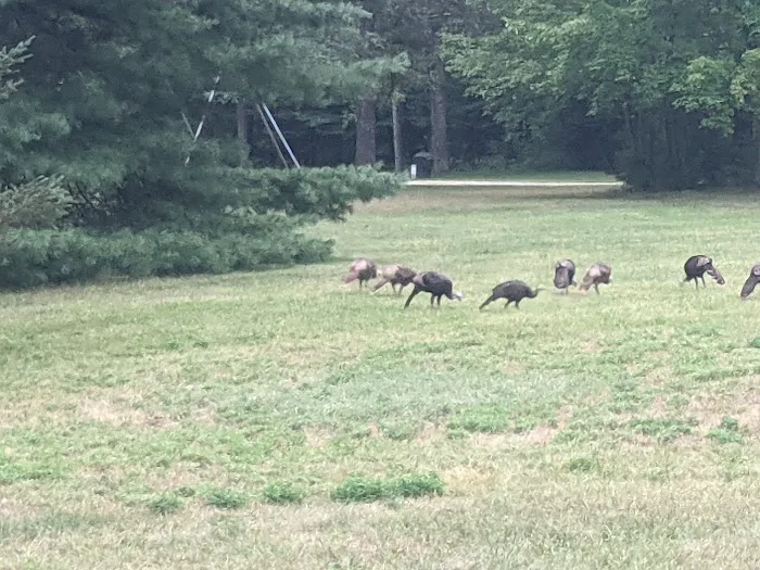 Lakewood Campground Picture 4