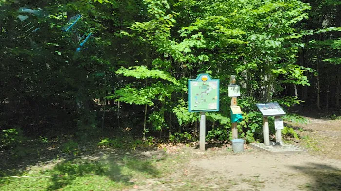 Hartwick Pines State Park Campground Picture 1