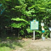 Hartwick Pines State Park Campground ico