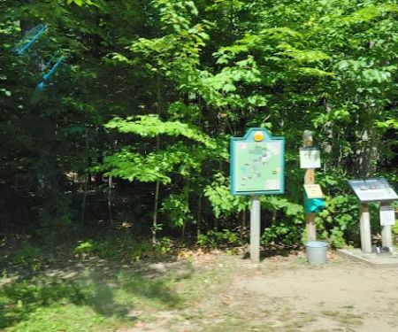 Hartwick Pines State Park Campground