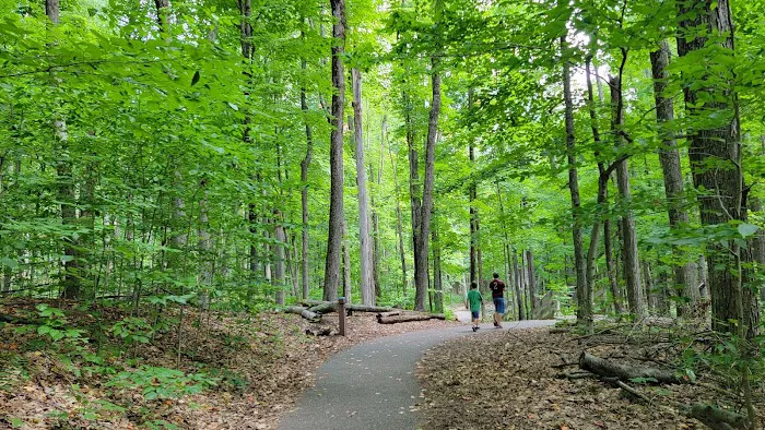 Hartwick Pines State Park Campground Picture 9