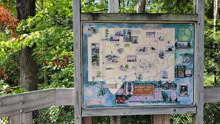 Hartwick Pines State Park Campground Picture 8