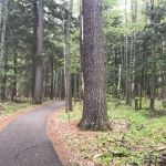 Hartwick Pines State Park Campground