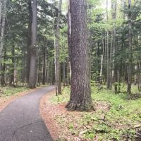 Hartwick Pines State Park Campground ico