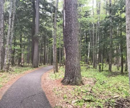 Hartwick Pines State Park Campground