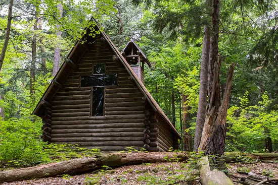 Hartwick Pines State Park Campground Picture 2