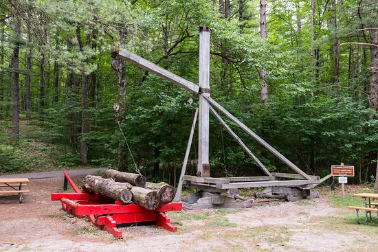 Hartwick Pines State Park Campground Picture 8