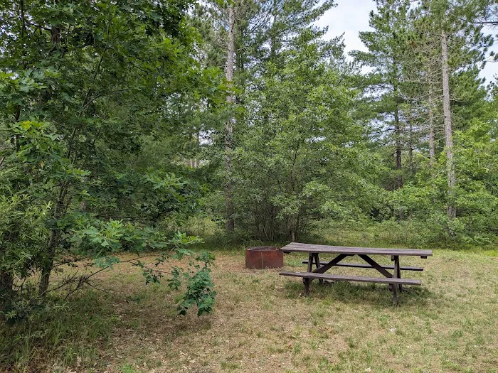 Jones Lake State Forest Campground Picture 4