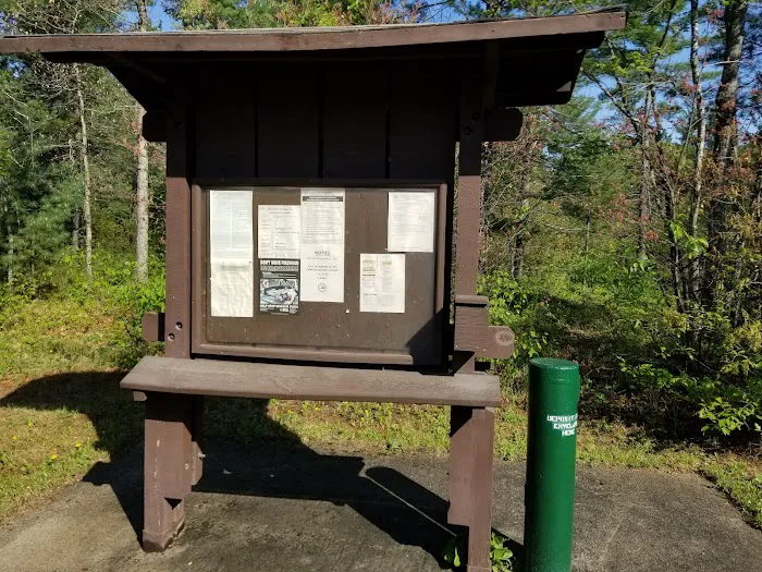 Jones Lake State Forest Campground Picture 6