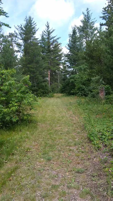 Jones Lake State Forest Campground Picture 9