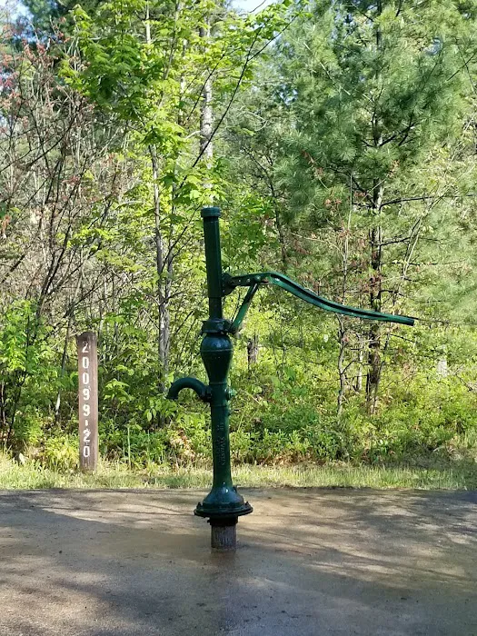 Jones Lake State Forest Campground Picture 8