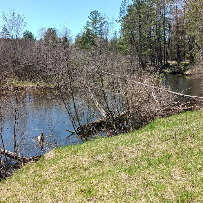 CCC Bridge State Forest Campground Picture 2