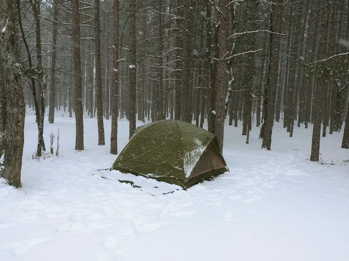 CCC Bridge State Forest Campground Picture 9