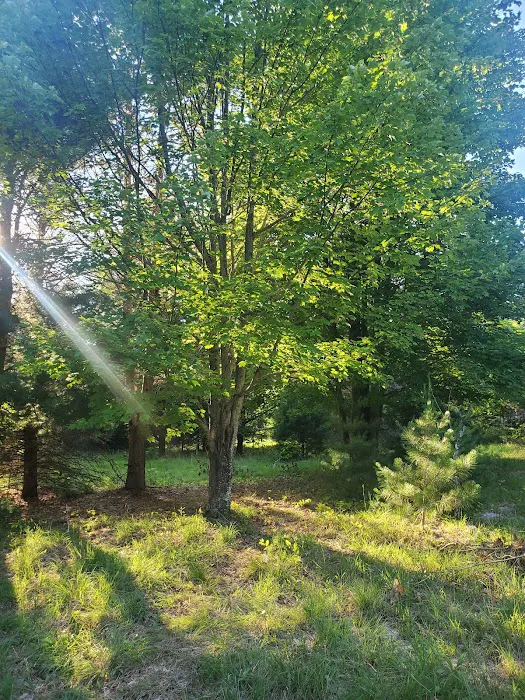 Camp Stonewood Ranch Picture 3