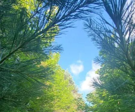 Camp Stonewood Ranch