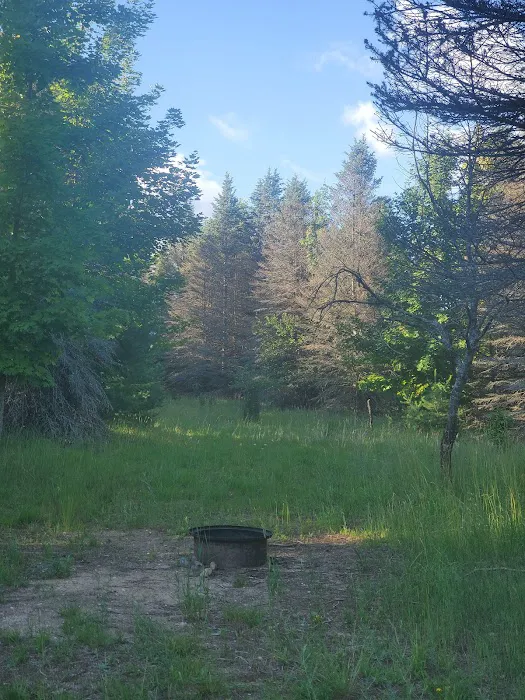 Camp Stonewood Ranch Picture 4