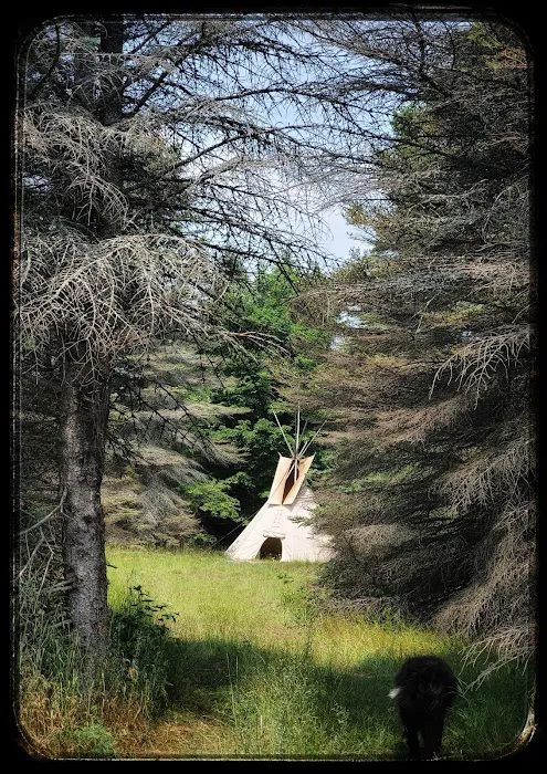 Camp Stonewood Ranch Picture 9