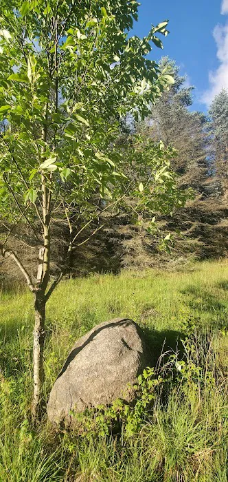 Camp Stonewood Ranch Picture 5