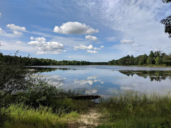 Goose Lake State Forest Campground Picture 1