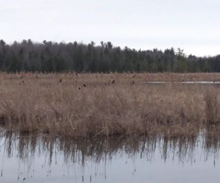 Rollways Day Use Area