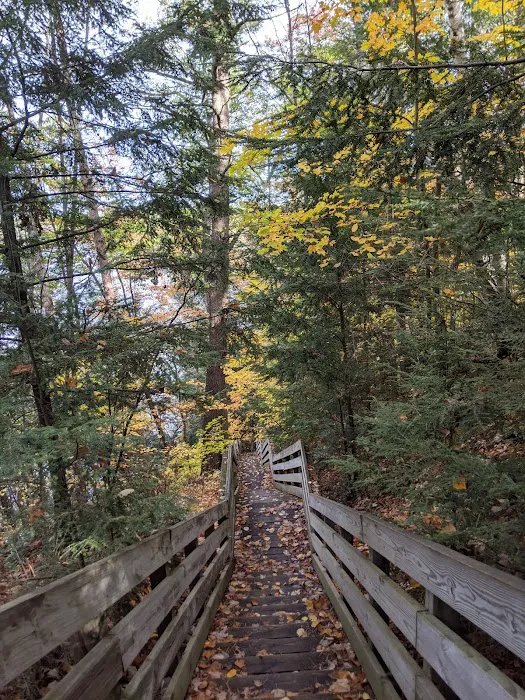 Rollways Day Use Area Picture 3