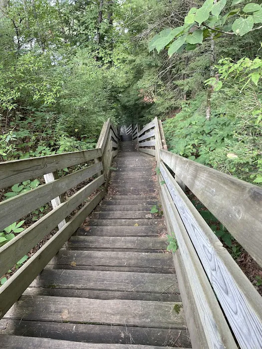 Rollways Campground Picture 5