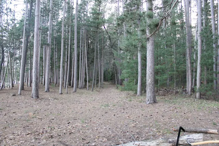 Ausable River Camping,MI Site 022C Picture 6