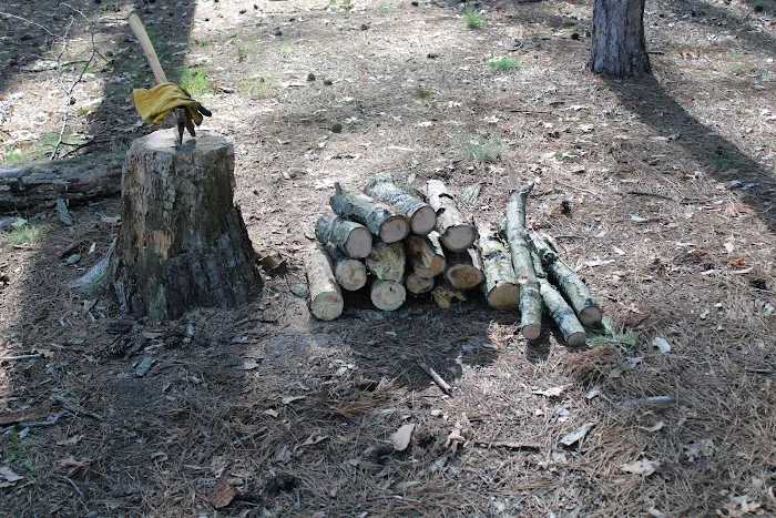 Ausable River Camping,MI Site 022C Picture 9