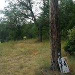 Ausable River Camping