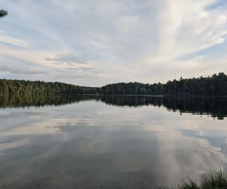 Au Sable River Camping Site 93D