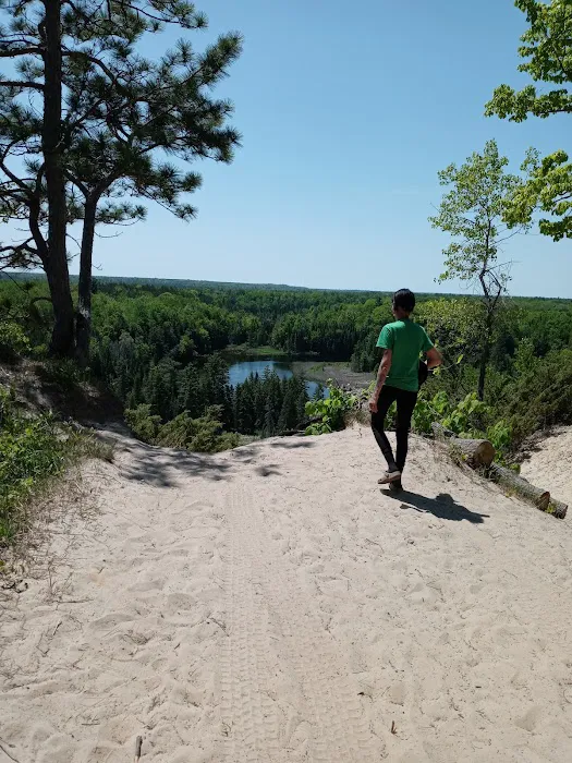 Au Sable River Camping Site 93D Picture 4