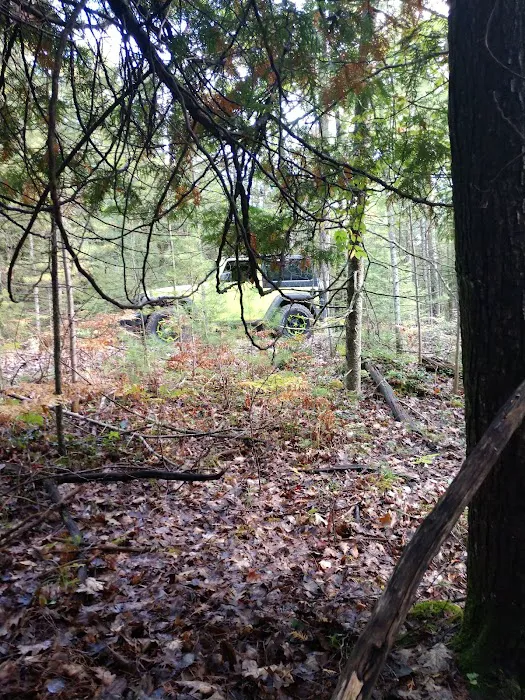 Au Sable River Camping Site 93D Picture 9
