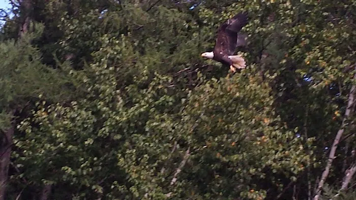 South Branch Trail Camp for the Shore to Shore Horseback and Hiking Trail Picture 6