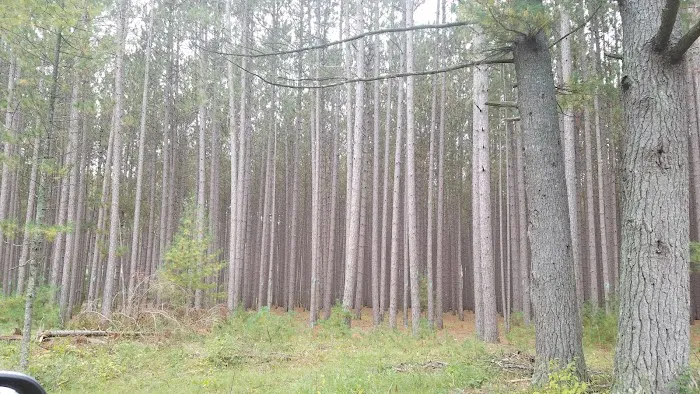 South Branch Trail Camp for the Shore to Shore Horseback and Hiking Trail Picture 4