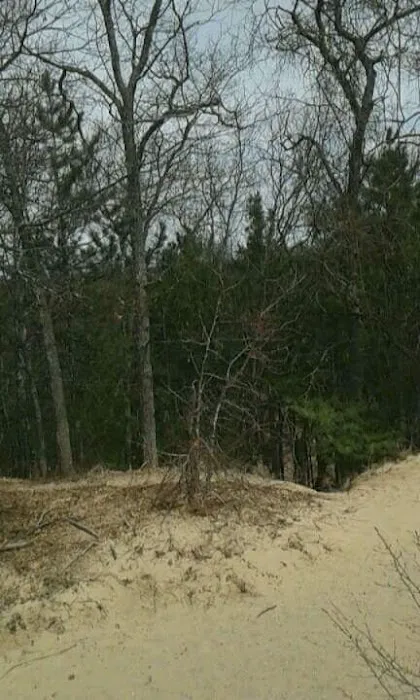 South Branch Trail Camp for the Shore to Shore Horseback and Hiking Trail Picture 5